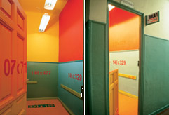 Sin Título, 2002 Medidas variables. Pintura sobre la pared + plexiglas + tela